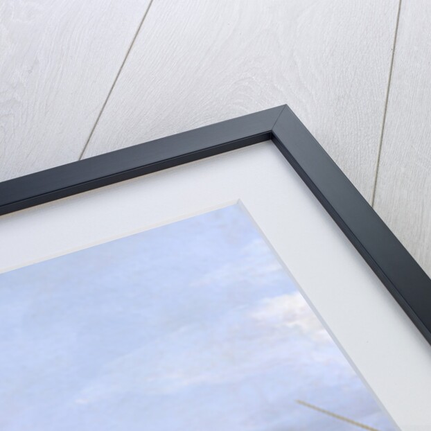 View of the Riva degli Schiavoni, 1735-1739 by Canaletto