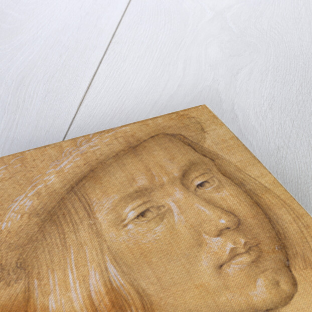 Head of a Youth by Lorenzo di Credi