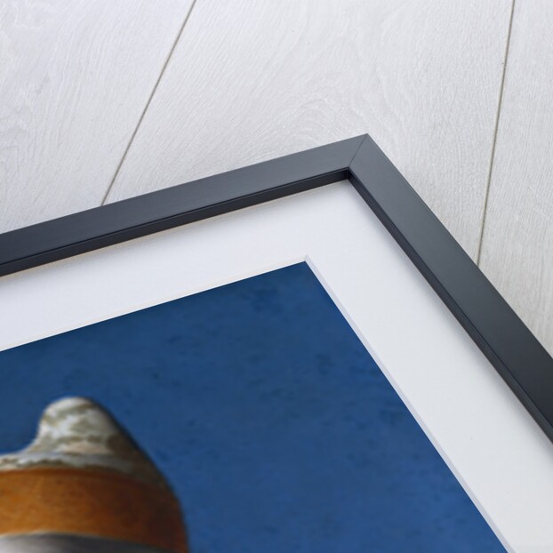 Doge Leonardo Loredan by Giovanni Bellini