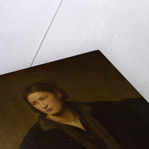 Portrait of Stefano Nani, 1528 by Bernardino Licinio