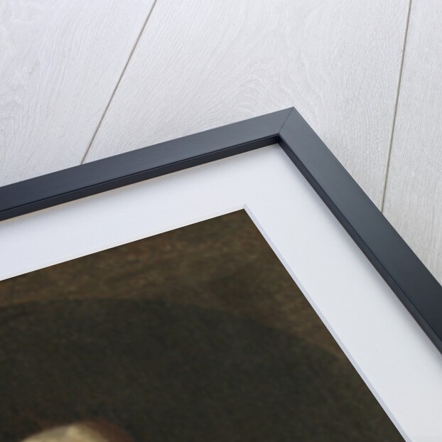 Portrait of John III Sobieski, King of Poland and Grand Duke of Lithuania, ca 1685 by Anonymous