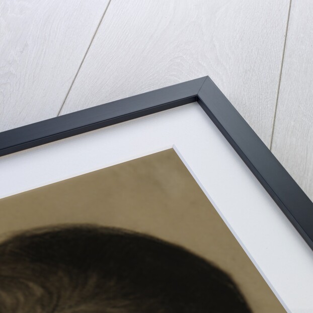 Portrait of Joseph Stalin, 1922 by Nikolai Andreevich Andreev