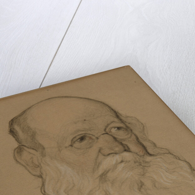Portrait of the Revolutionary Count Pyotr A. Kropotkin, 1920-1921 by Nikolai Andreevich Andreev