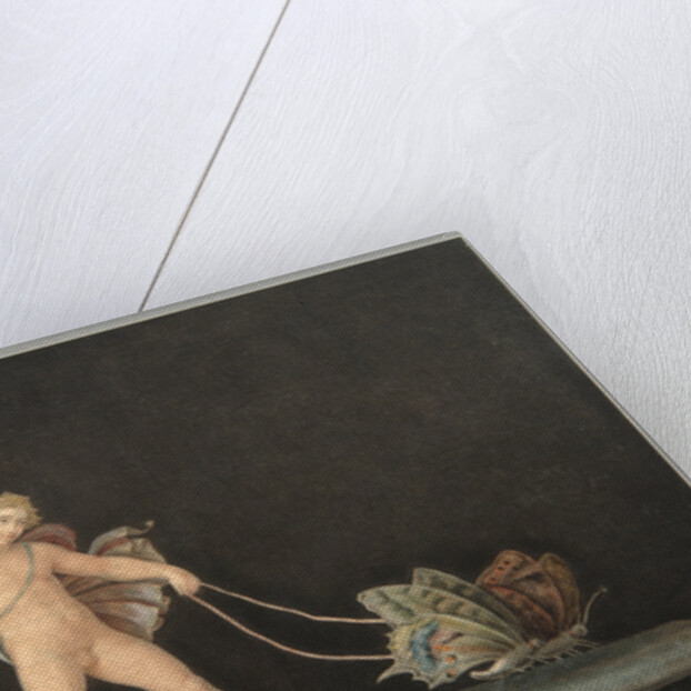 Cupid with Butterflies by Anonymous