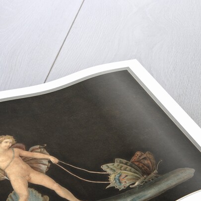 Cupid with Butterflies by Anonymous