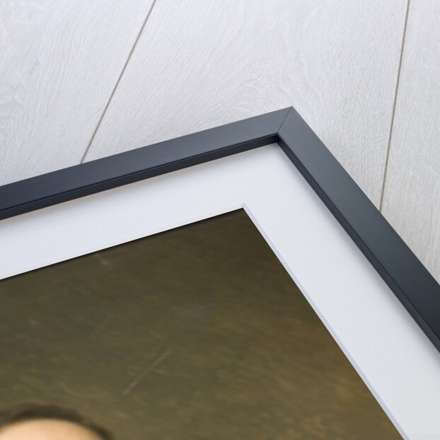 Portrait of the artist Ivan Aivazovsky, 1879 by Dmitry Mikhaylovich Bolotov