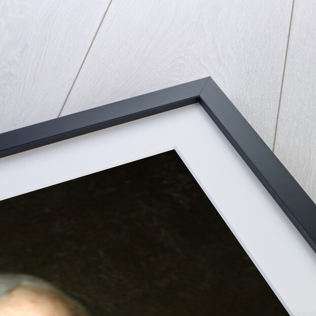 Portrait of Nikolai Mikhailovich Yakovlev, 1802 by Vladimir Lukich Borovikovsky