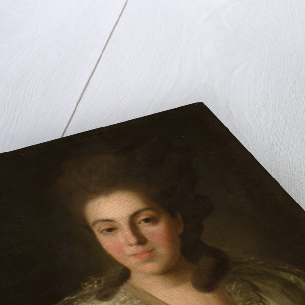 Portrait of Countess Anna Alexandrovna Golitsyna, née Baroness Stroganova, 1777 by Fyodor Stepanovich Rokotov