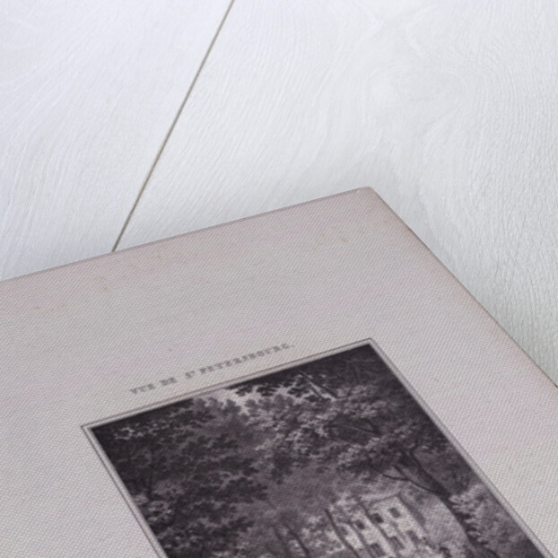 Views of Saint Petersburg. The Summer Palace of Peter the Great, 1833 by Vasily Semyonovich Sadovnikov