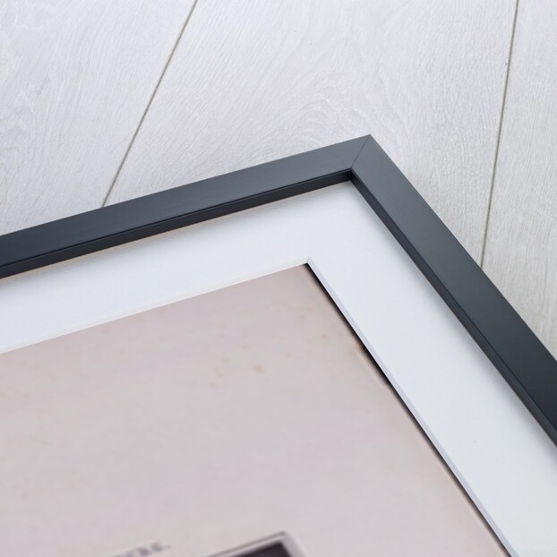 Views of Saint Petersburg. The Summer Palace of Peter the Great, 1833 by Vasily Semyonovich Sadovnikov