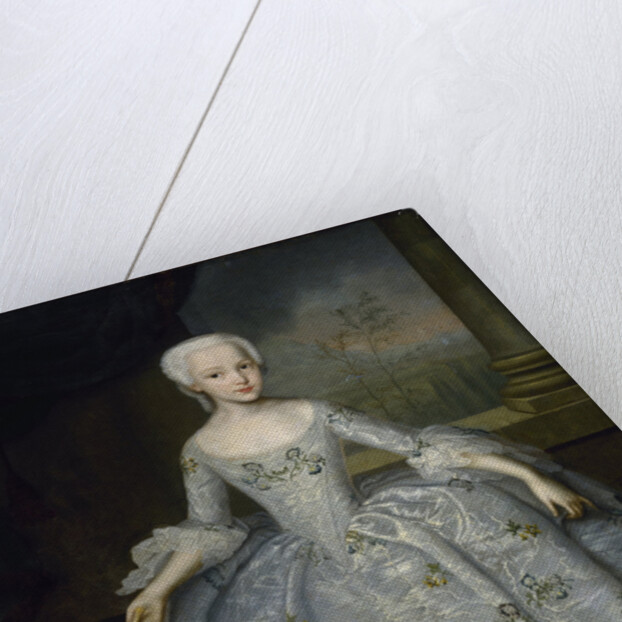 Portrait of Sarah Eleanore von Fermor, c. 1750 by Ivan Yakovlevich Vishnyakov
