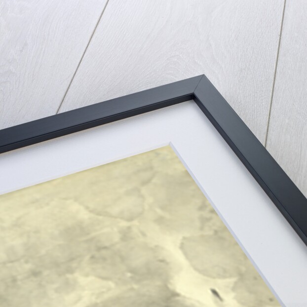 Tamara in the coffin. Illustration to the poem The Demon by Mikhail Lermontov, 1890-1891 by Mikhail Alexandrovich Vrubel