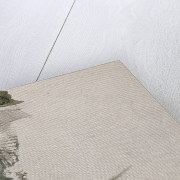 Pearl mussel, 1904 by Mikhail Alexandrovich Vrubel