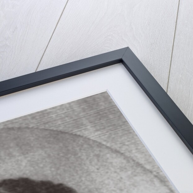 Grand Duke Michael Pavlovich of Russia, c. 1815 by Anonymous