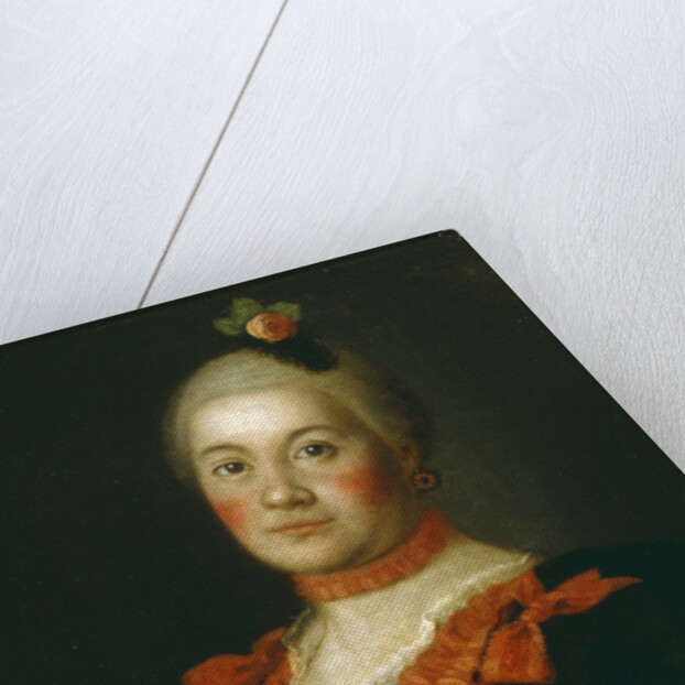 Portrait of Countess Tatyana Alexeyevna Trubetskaya, 1761 by Alexei Petrovich Antropov
