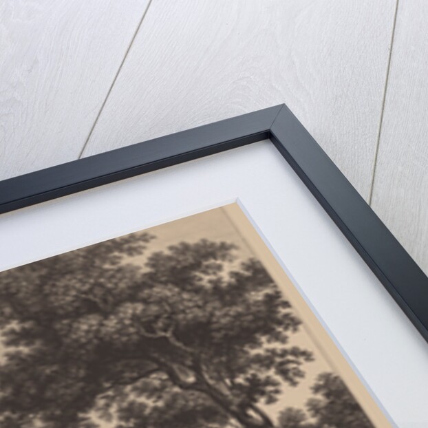 Old House of the Stroganov family in Solvychegodsk, 1842 by Ivan Vasilievich Chessky