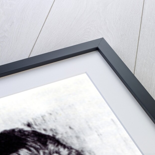 Portrait of the painter Mikhail Aleksandrovich Vrubel, 1900s by Vasily Vasilyevich Mate