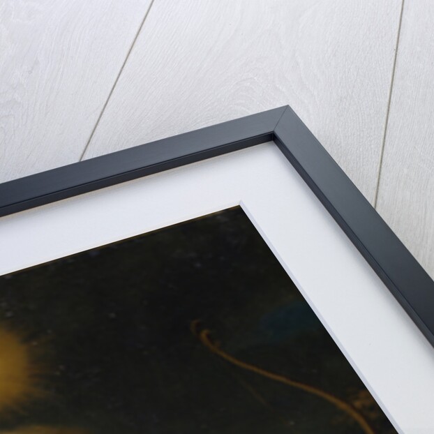 Portrait of Tsarevich Peter Petrovich of Russia as Cupid, 1772 by Grigori Dmitrievich Molchanov