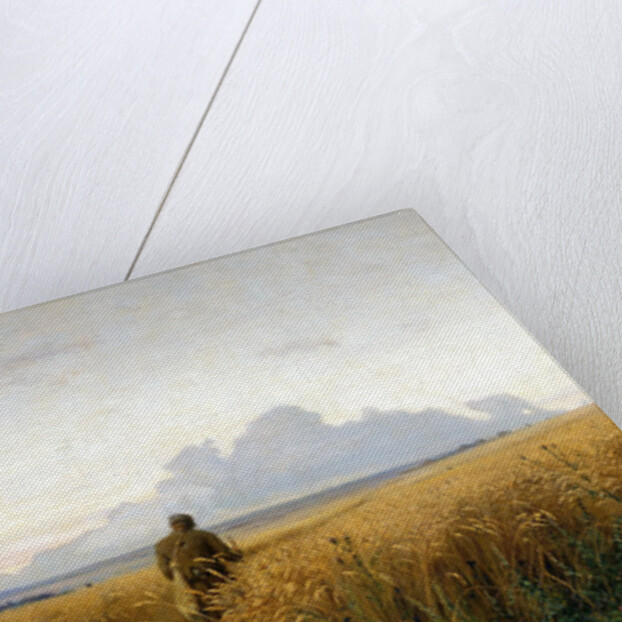 Footpath in a rye field, 1881 by Grigori Grigoryevich Myasoedov