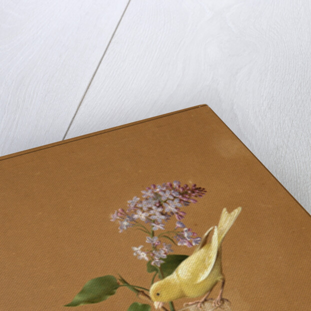 Canary Bird on a Lilac Branchlet, 1819 by Fyodor Petrovich Tolstoy