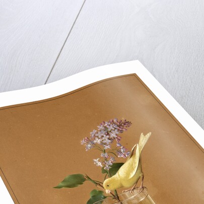 Canary Bird on a Lilac Branchlet, 1819 by Fyodor Petrovich Tolstoy