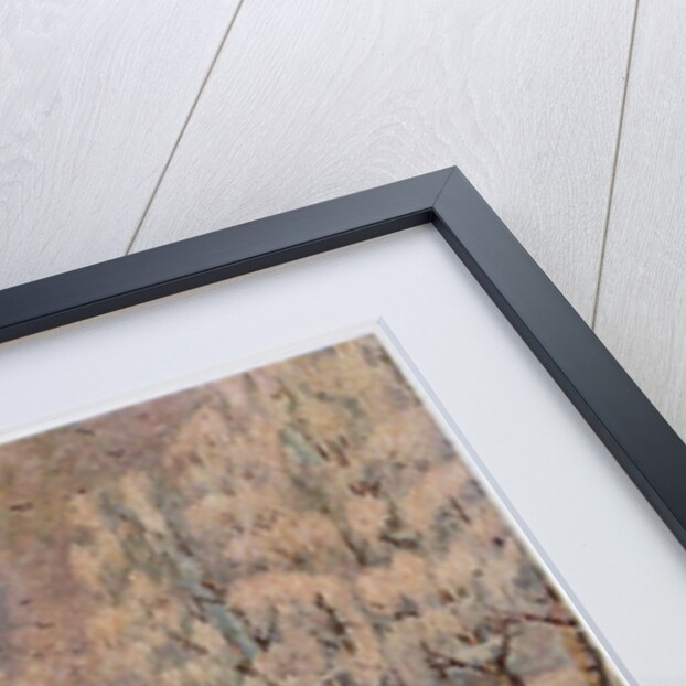 French Retreat from Moscow, 1888-1895 by Vasili Vasilyevich Vereshchagin