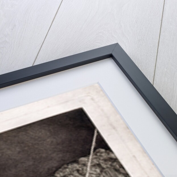 Precise Folly by Francisco de Goya