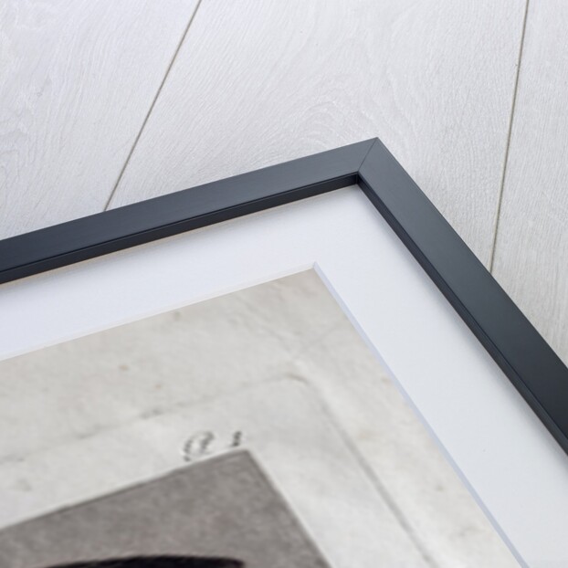 Self-Portrait, 1799 by Francisco de Goya