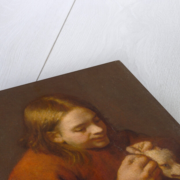 Boy Looking for Fleas on a Dog, 1650 by Pedro Nuñez de Villavicencio