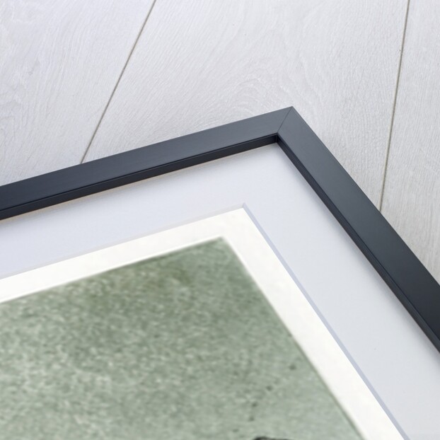 Tampoco (Nor this) by Francisco de Goya