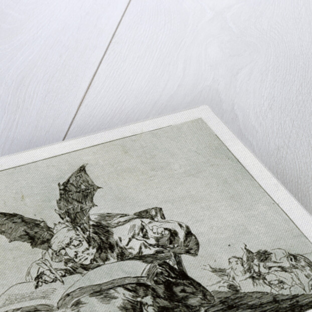 Contra el bien general (Against the common good) by Francisco de Goya