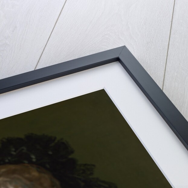 Portrait of Doña Isabel de Porcel, before 1805 by Francisco de Goya