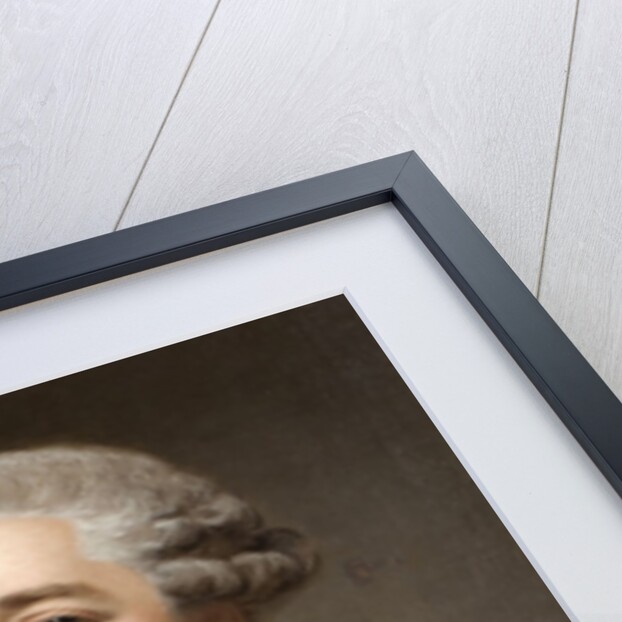 Portrait of Prince Vladimir Borisovich Golitsyn, 1762 by Alexander Roslin