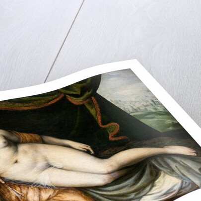 Venus and Cupid by Frans Floris the Elder