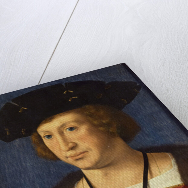 Floris van Egmond, count of Buren, 1536 by Jan Gossaert
