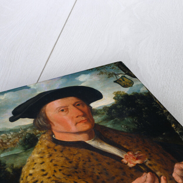 Portrait of Pompeius Occo, 1531 by Dirck Jacobsz