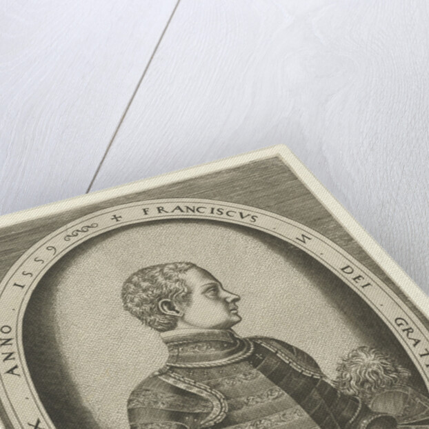 Portrait of Francis II of France, 1559 by Frans Huys