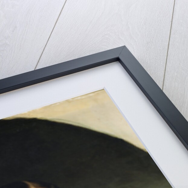 Portrait of Harriet Beecher Stowe, 1853 by Alanson Fisher