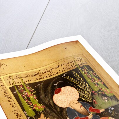 Nasreddin Hodja by Anonymous