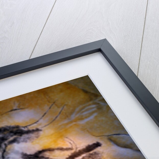 Painting in the Chauvet cave, 32,000-30,000 BC by Art of the Upper Paleolithic