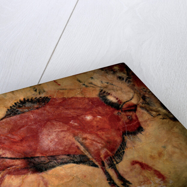 Painting in the cave of Altamira, 35,000 to 11,000 BC by Art of the Upper Paleolithic