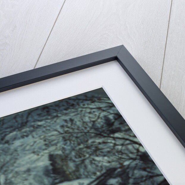 Winter landscape, 1917 by Isaak Izrailevich Brodsky