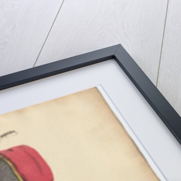 The Cossack uniform, 1820 by Rudolph Ackermann