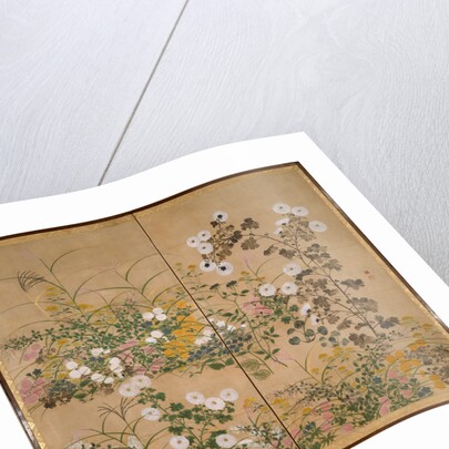 Flowering Plants in Autumn, 18th century by Ogata Korin