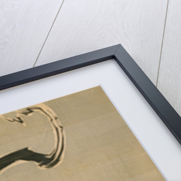 Plum Blossoms, 18th century by Ito Jakuchu