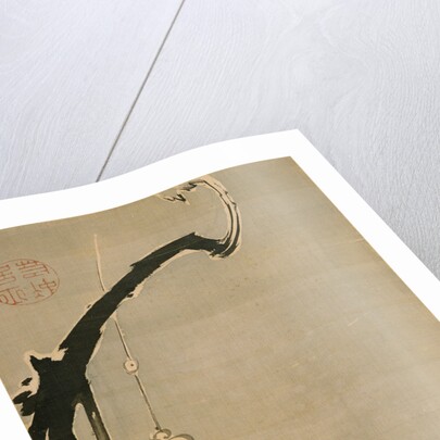 Plum Blossoms, 18th century by Ito Jakuchu