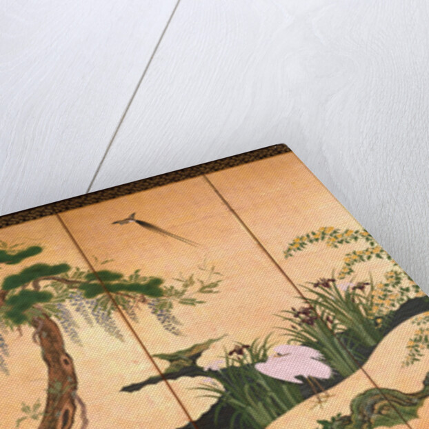 Birds and Flowers of Spring and Summer, Second Half of the 17th cen by Kano Eino