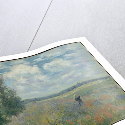 Poppy Fields near Argenteuil, 1875 by Claude Monet