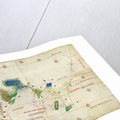 The Cantino planisphere, 1502 by Anonymous master