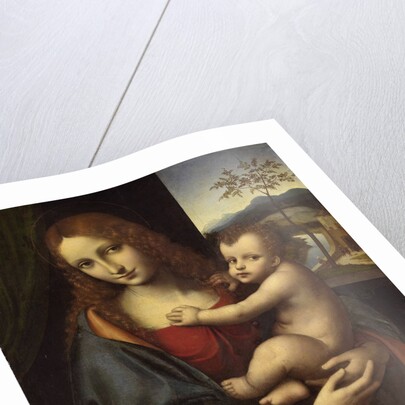 Virgin and Child, 1510-1525 by Giampietrino